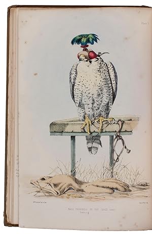 Bild des Verkufers fr Falconry in the British isles.London, John van Voorst, 1855. 4to (29 x 19.5 cm). With 24 hand-coloured lithographed plates by William Brodrick. Original publisher s blind- and gold-blocked cloth, front board with title and large illustration of a falcon. zum Verkauf von Antiquariaat FORUM BV