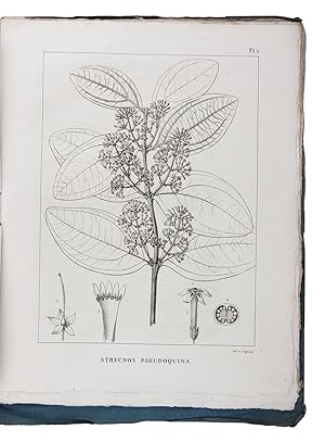 Plantes usuelles des Brasiliens.Paris, Grimbert (printed by Casimir), 1824-1828. In 14 instalment...