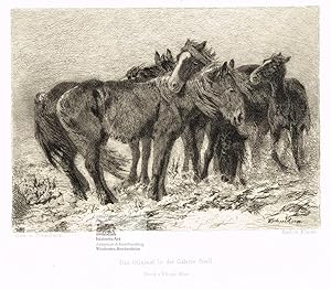 Seller image for Tatarenpferde der Krim im Schneegest�ber. Das Original in der Galerie Gsell. Original-Kaltnadelradierung von Johannes Klaus nach dem Gem�lde von Schmitson um 1865 for sale by historicArt Antiquariat & Kunsthandlung