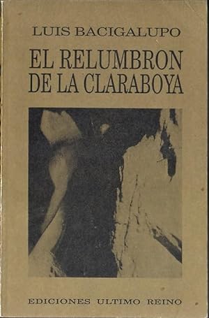 Image du vendeur pour El relumbrn de la claraboya mis en vente par Federico Burki