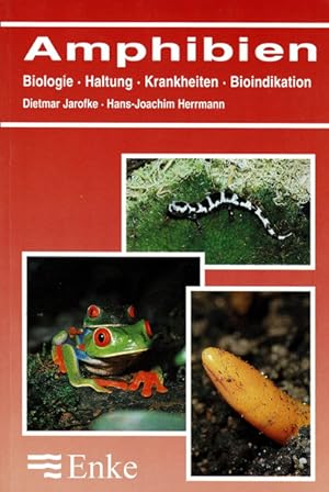 Seller image for Amphibien. Biologie, Haltung, Krankheiten, Bioindikation for sale by Schueling Buchkurier
