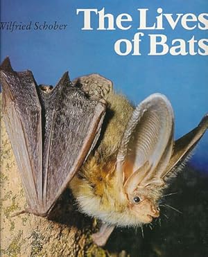 The Lives of Bats.