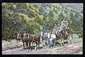 Longenecker Postcard; No 800 - Old Spearfish and Deadwood Stage Coach, Black Hills, S. Dak