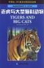 Imagen del vendedor de Tigers and Big Cats - Level 3 (Elementary B) - DK Chinese-English Graded Readers. (Chinese Edition) a la venta por liu xing