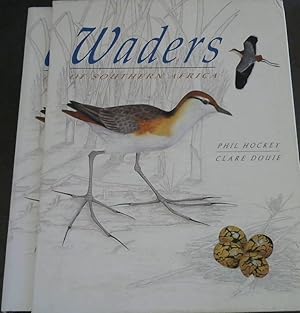 Seller image for Waders of Southern Africa for sale by Chapter 1