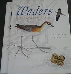 Image du vendeur pour Waders of Southern Africa mis en vente par Chapter 1