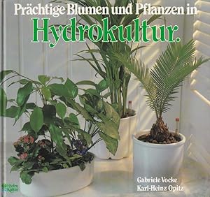 Imagen del vendedor de Prchtige Blumen und Pflanzen in Hydrokultur a la venta por Clivia Mueller