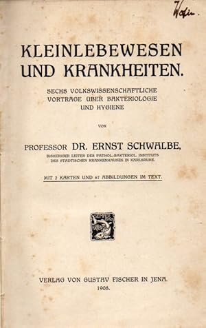 Kleinlebewesen und Krankheiten