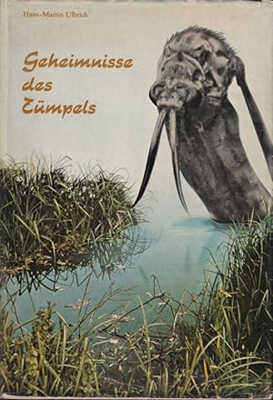 Seller image for Geheimnisse des Tmpels for sale by Clivia Mueller