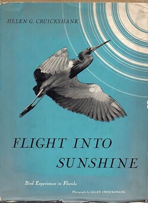 Seller image for Flight into sunshine for sale by Clivia Mueller