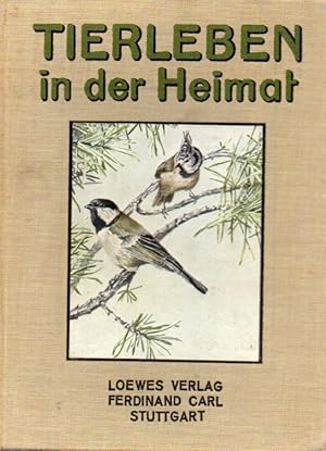 Seller image for Tierleben in der Heimat for sale by Clivia Mueller