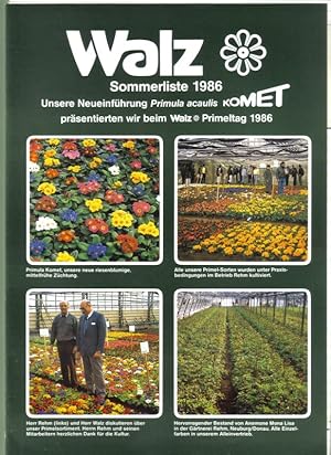 Unsere Neueinführung Primula acualis Komet Sommerliste 1986