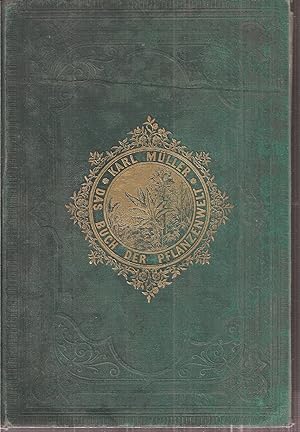 Bild des Verkäufers für Das Buch der Pflanzenwelt (Erste und zweite Abtheilung) 1 Band zum Verkauf von Clivia Mueller