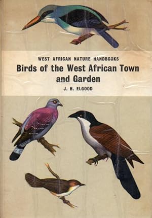 Bild des Verkufers fr Birds of the West African Town and Garden zum Verkauf von Clivia Mueller