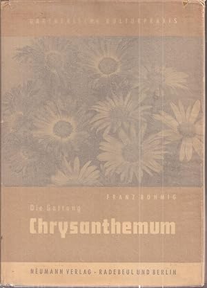 Image du vendeur pour Chrysanthemum mis en vente par Clivia Mueller
