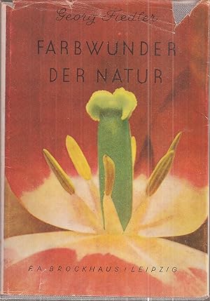 Immagine del venditore per Farbwunder der Natur venduto da Clivia Mueller