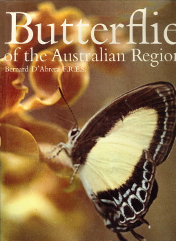 Image du vendeur pour Butterflies of the Australian region mis en vente par Antiquariaat Parnassos vof