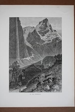 In the Nebbedal, Wasserfall, Holzstich um 1875 mit idyllischer Landszene, Blattgröße: 31,5 x 23 c...