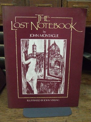 Immagine del venditore per The Lost Notebook: Novel venduto da Kennys Bookshop and Art Galleries Ltd.