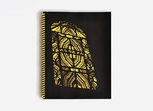 Image du vendeur pour Gold Church, the (artist book by Tauba Auerbach) mis en vente par DR Fine Arts