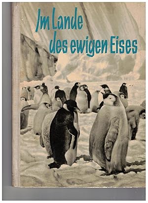 Seller image for Im Lande des ewigen Eises. Abenteuer in der Antarktis for sale by Bcherpanorama Zwickau- Planitz
