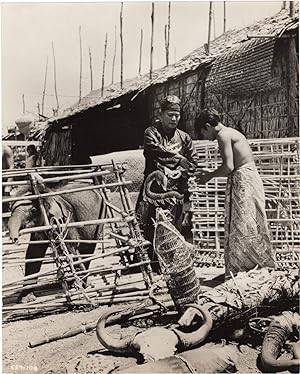 Imagen del vendedor de Niok (Original photograph from the 1957 film) a la venta por Royal Books, Inc., ABAA