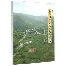 Seller image for The white dragon temple ruins of Linqu Report(Chinese Edition) for sale by liu xing