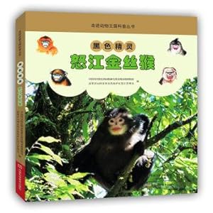 Seller image for Black fairy: Nu River golden monkey(Chinese Edition) for sale by liu xing