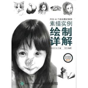 Seller image for Sketch drawing detailed examples(Chinese Edition) for sale by liu xing