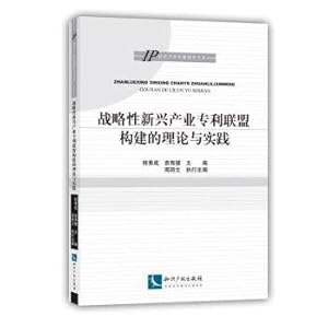 Immagine del venditore per Theory and Practice on the construction of patent alliance of strategic emerging industry(Chinese Edition) venduto da liu xing