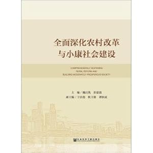 Imagen del vendedor de Comprehensively deepening the reform of rural areas and building a well off Society(Chinese Edition) a la venta por liu xing