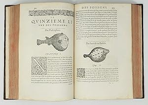 Image du vendeur pour Histoire entire des Poissons. Compose premierement en Latin par maistre Guilaume Rondelet Doctuer regent en Medecine en l'universit de Mompelier. Maintenant traduite en Franois sans avoir rien omis estant necessaire  l'intelligence d'icelle. Avec leurs portraits au naif. mis en vente par Libreria Antiquaria Pregliasco