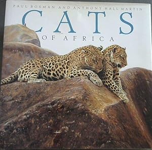 Imagen del vendedor de Cats of Africa a la venta por Chapter 1