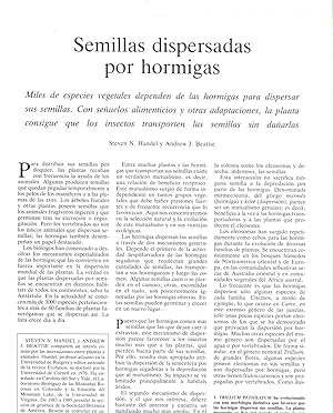 Image du vendeur pour SEMILLAS DISPERSADAS POR HORMIGAS ( 8 PAGINAS ORIGINALES DEL AO 1980, ESTUDIO COMPLETO TEXTO INTEGRO ) mis en vente par Libreria 7 Soles
