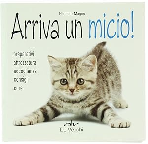 ARRIVA UN MICIO!: