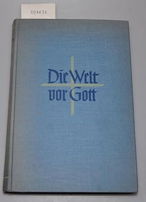 Die Welt vor Gott