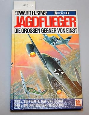Jagdflieger - Die grossen Gegner von einst - Luftwaffe, RAF und USAAF im kritischen Vergleich