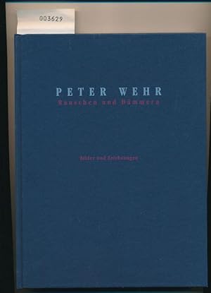 Seller image for Rauschen und Dmmern - Bilder und Zeichnungen - Arbeiten von 2003 bis 2013 for sale by Buchhandlung Lutz Heimhalt