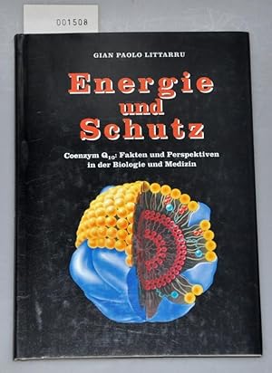 Imagen del vendedor de Energie und Schutz - Coenzym Q 10 - Fakten und Perspektiven in der Biologie und Medizin a la venta por Buchhandlung Lutz Heimhalt