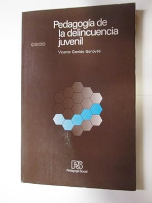 Imagen del vendedor de PEDAGOGA DE LA DELINCUENCIA JUVENIL a la venta por LIBRERIA AZACAN