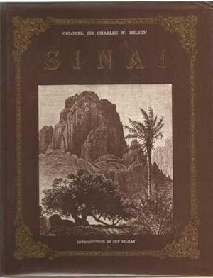Seller image for Sinai & the South for sale by Turn The Page Books