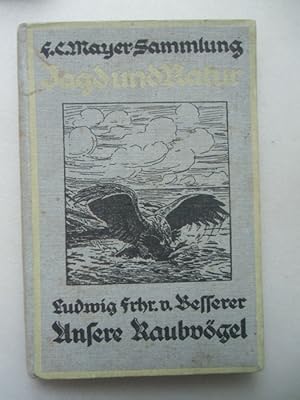 Unsere Raubvögel mit bes. Berücksichtigung Flugbilder 1926 Ornithologie Vögel