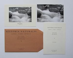 Seller image for Historia Naturalis: Lapidas - Floris - Animalis (incomplete copy) for sale by William Allen Word & Image