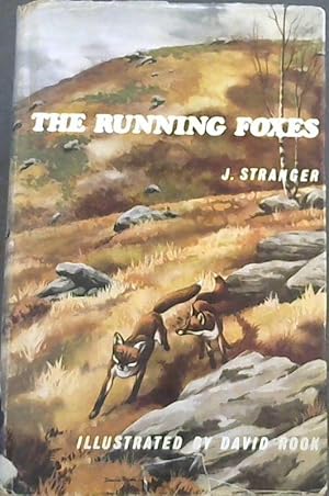 The Running Foxes