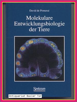 Seller image for Molekulare Entwicklungsbiologie der Tiere. for sale by Antiquariat Basler Tor