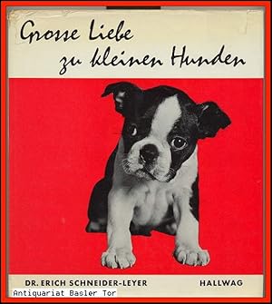 Bild des Verkufers fr Grosse Liebe zu kleinen Hunden. zum Verkauf von Antiquariat Basler Tor
