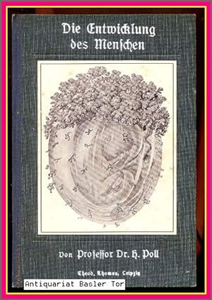 Seller image for Die Entwicklung des Menschen. for sale by Antiquariat Basler Tor