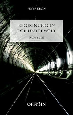 Bild des Verkufers fr Begegnung in der Unterwelt Der Gotthard Basistunnel-Roman zum Verkauf von primatexxt Buchversand