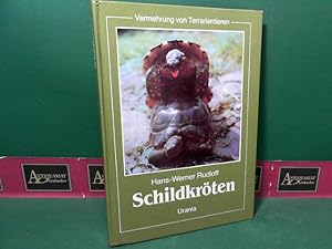 Bild des Verkufers fr Vermehrung von Terrarientieren - Schildkrten. zum Verkauf von Antiquariat Deinbacher