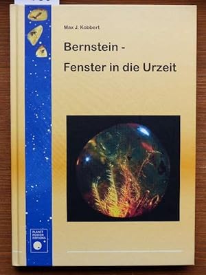 Bild des Verkufers fr Bernstein - Fenster in die Urzeit. zum Verkauf von Michael Fehlauer - Antiquariat